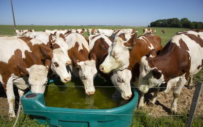 Aider l’agriculture à répondre au défi climatique